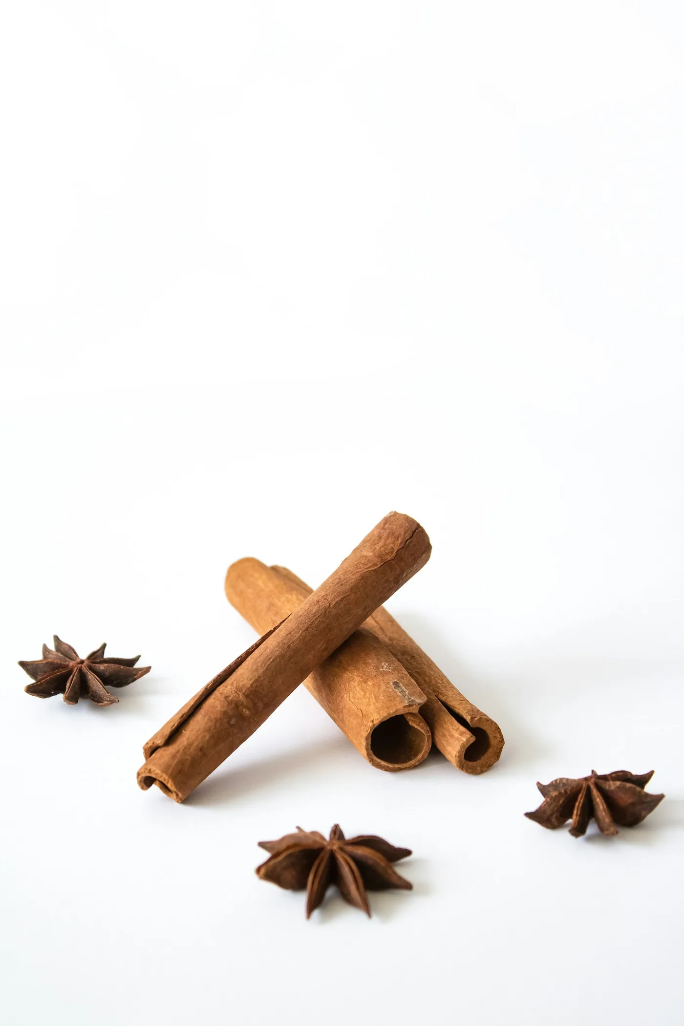 Inside a Ceylon Cinnamon Estate